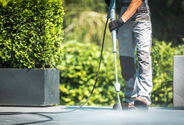 Best Dumpster Area Cleaning  in Potomac Heights, MD