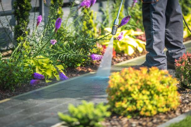 Why Choose Our Pressure Washing Services in Maryland