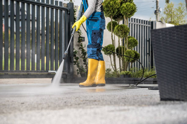 Best Pool Deck Cleaning  in Potomac Heights, MD