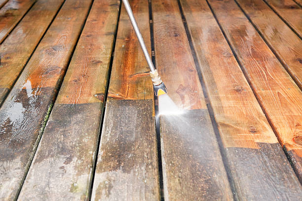 Best Gutter Cleaning  in Potomac Heights, MD
